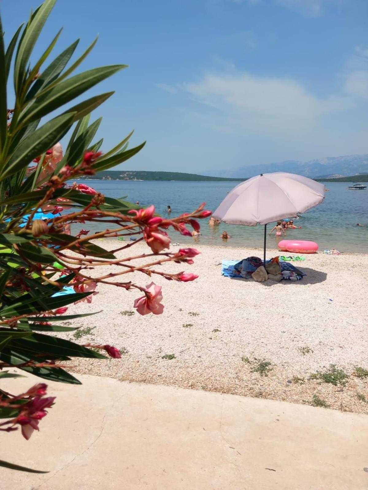 Karin Apartmani Hani Gornji Karin Εξωτερικό φωτογραφία