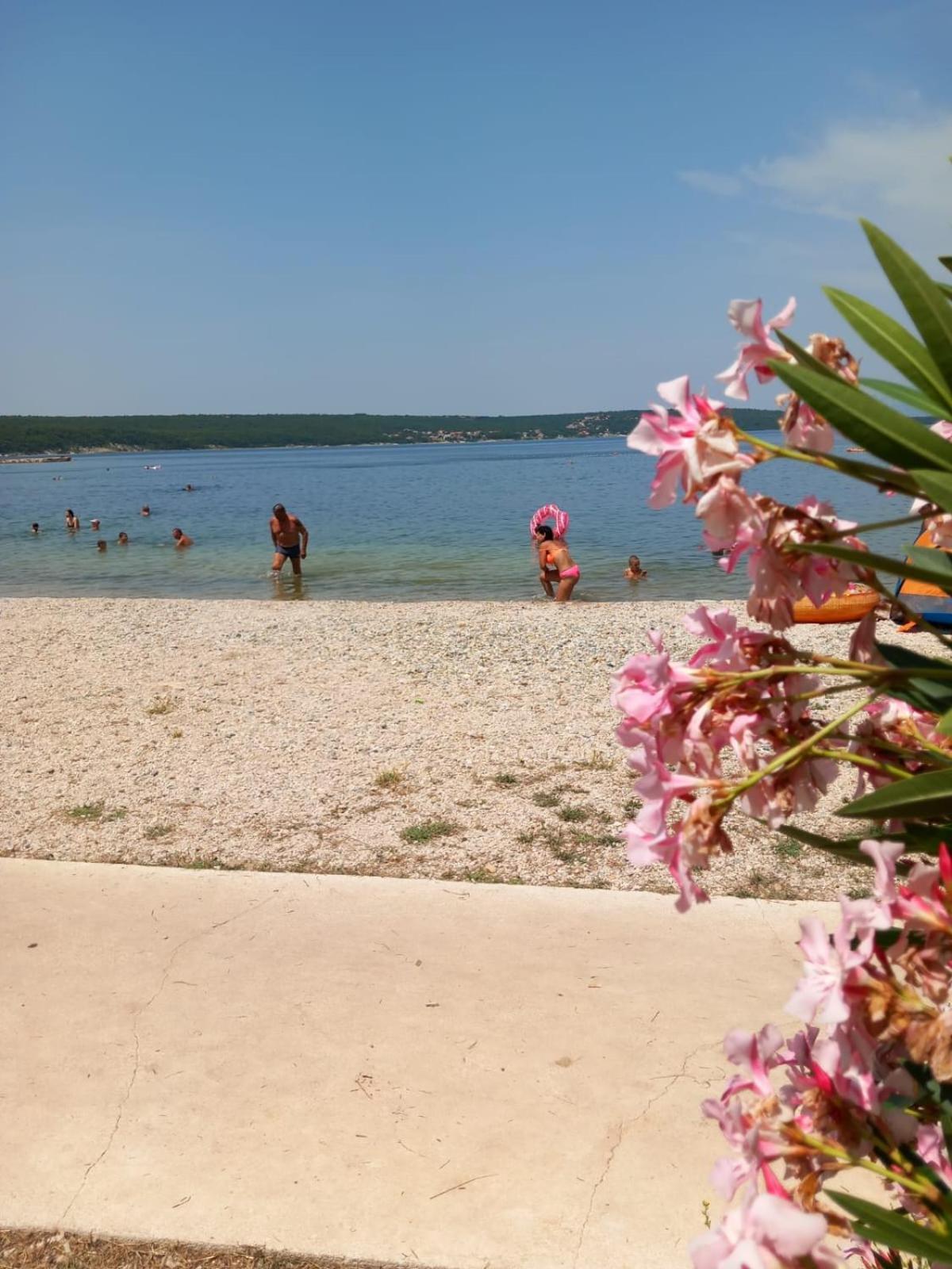 Karin Apartmani Hani Gornji Karin Εξωτερικό φωτογραφία